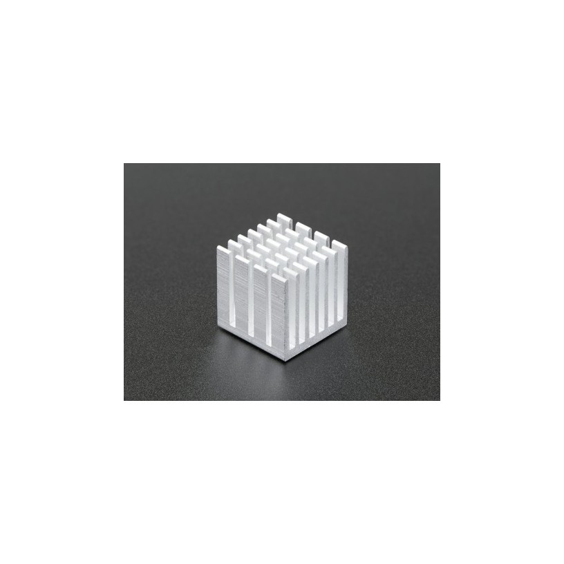 Grand dissipateur thermique en aluminium pour Raspberry Pi 3