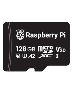 Carte Micro SD(HC) Raspberry Pi - 128 Go Classe 10 / A2 (sans adaptateur)